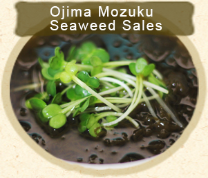 Ojima Mozuku Seaweed Sales
